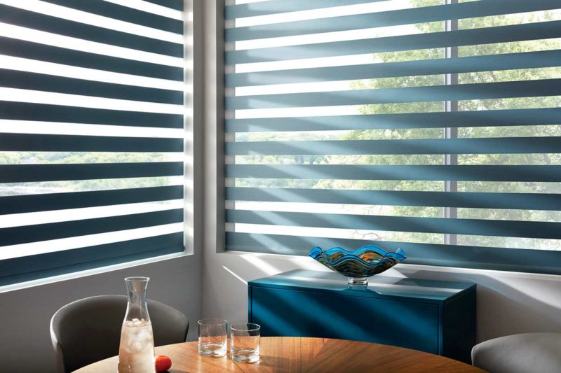 8 Things to Know About Zebra Blinds